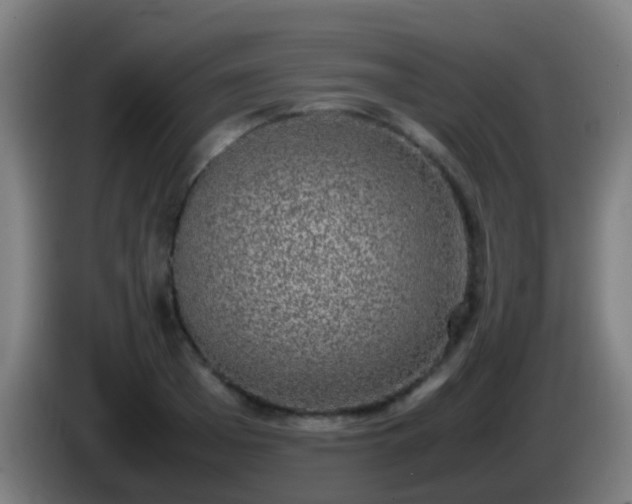 X0000086110985200703301233