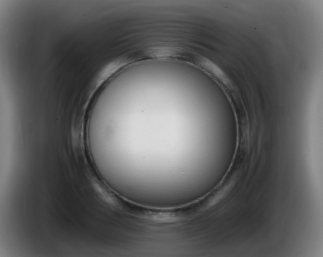 X0000086110986200703301233