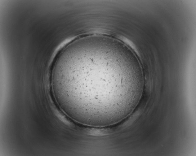 X0000086110987200703301233