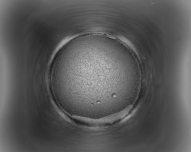 X0000086110989200703301233