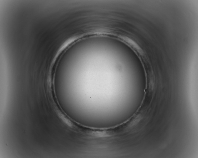 X0000086110990200703301233