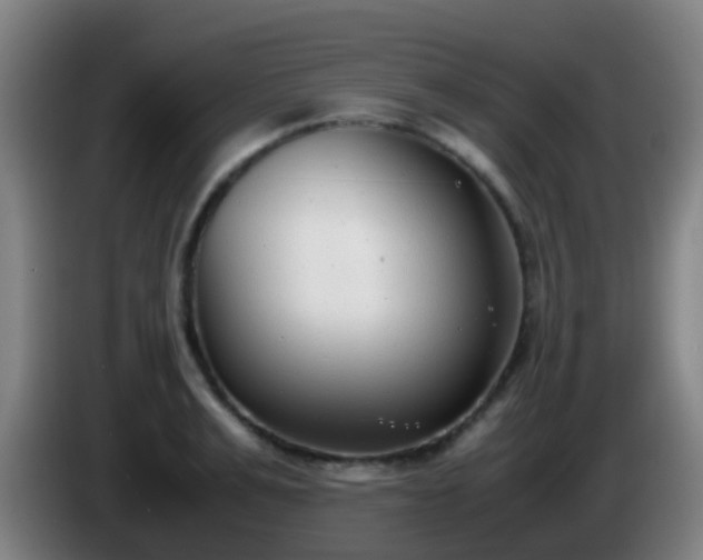 X0000086110991200703301233