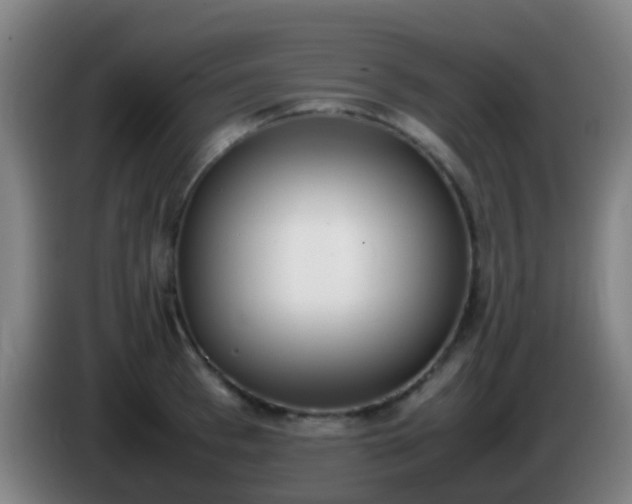 X0000086110993200703301233