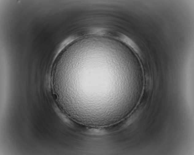 X0000086110994200703301233