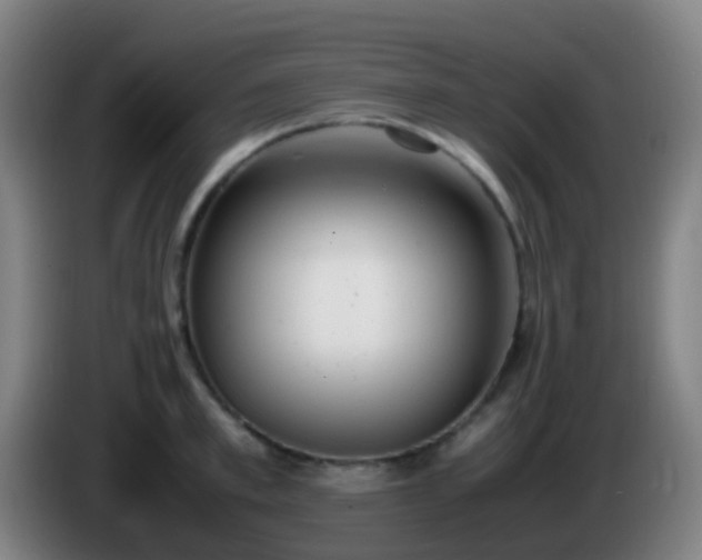 X0000086110997200703301233