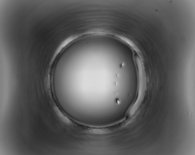 X0000086110998200703301233