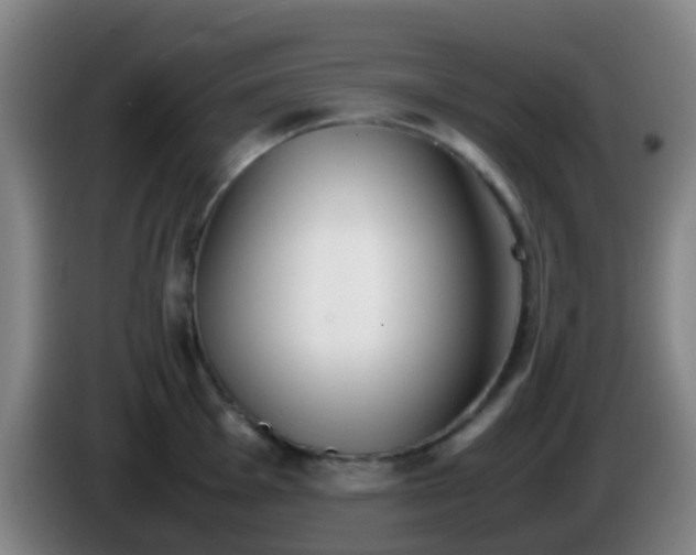 X0000086111001200703301233