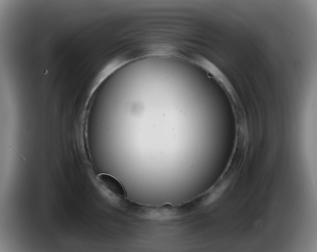 X0000086111002200703301233