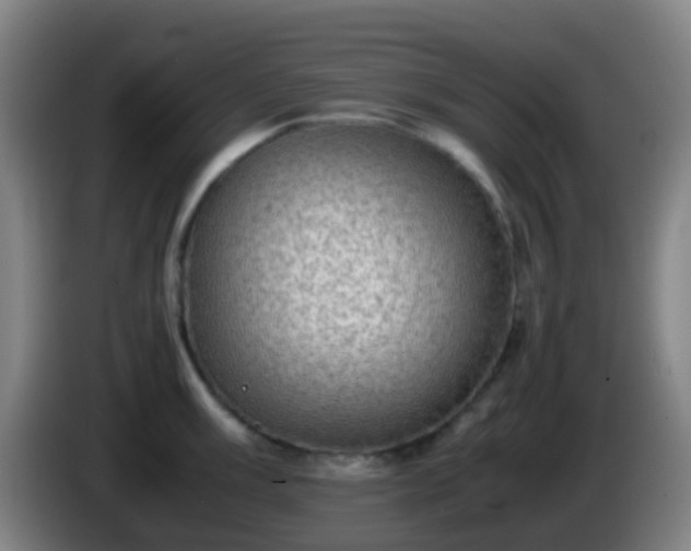 X0000086111003200703301233