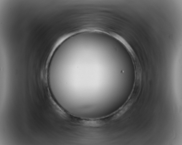 X0000086111004200703301233