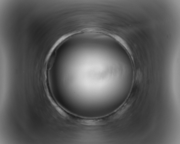 X0000086111005200703301233