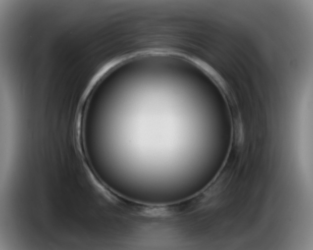 X0000086111006200703301233