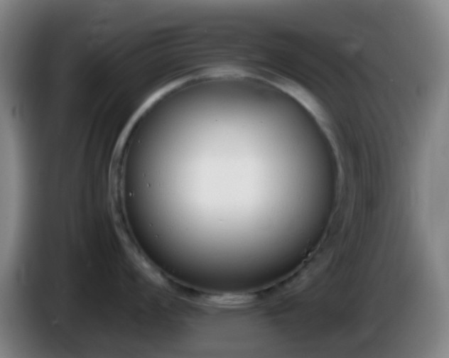 X0000086111008200703301233