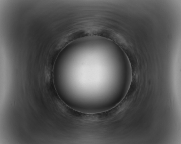 X0000086111012200703301232