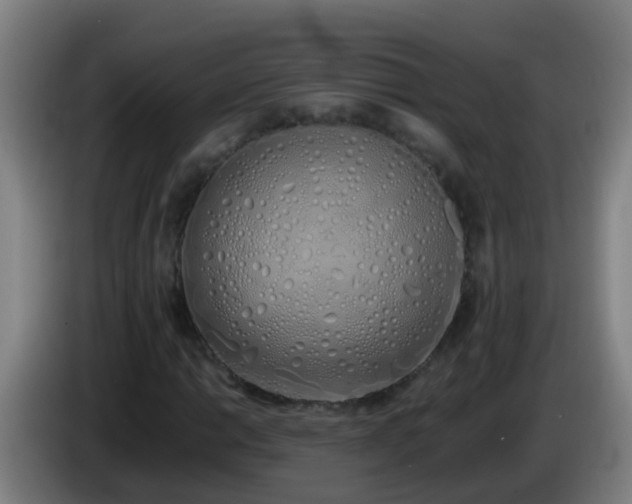 X0000086111014200703301232