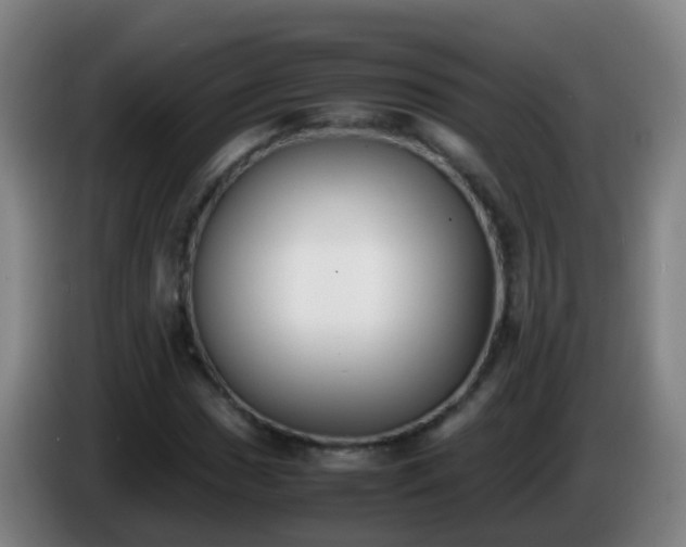 X0000086111017200703301232