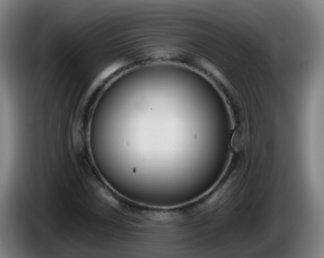 X0000086111018200703301232