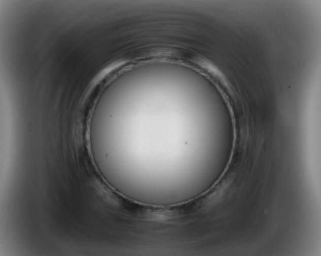 X0000086111019200703301232