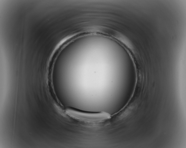 X0000086111020200703301232