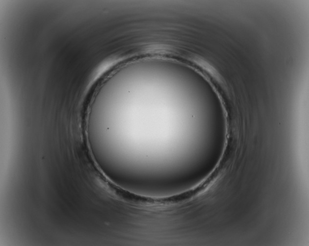 X0000086111022200703301232