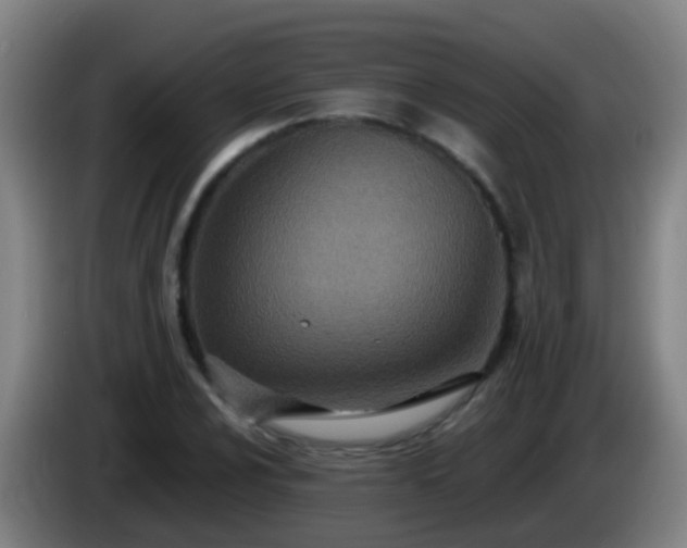 X0000086111024200703301232