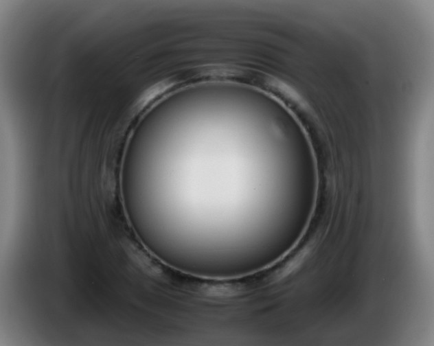 X0000086111025200703301232