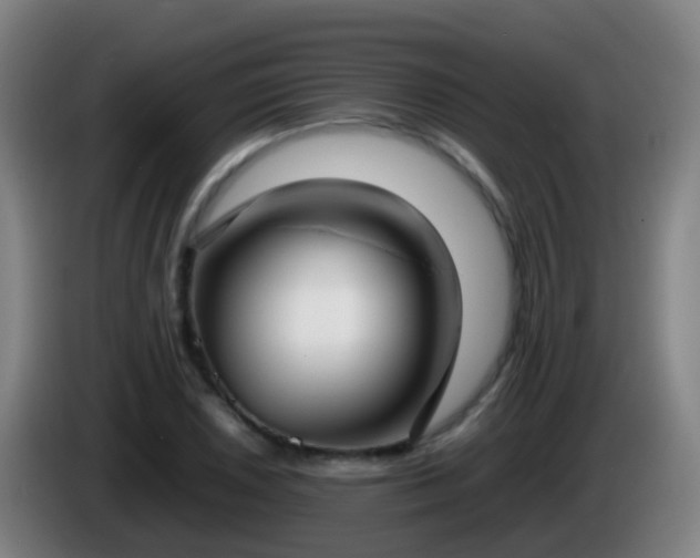 X0000086111026200703301232