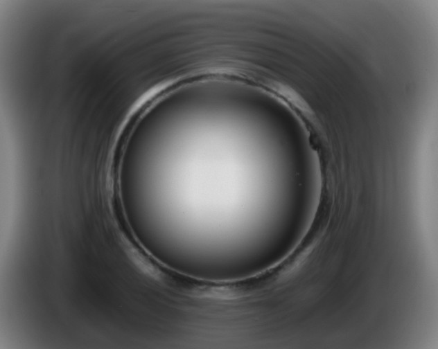 X0000086111028200703301232