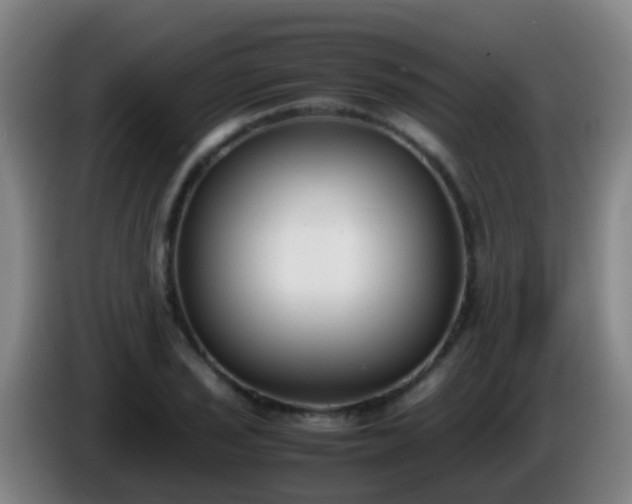 X0000086111029200703301232