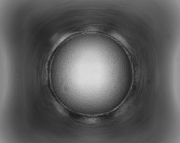 X0000086111031200703301232