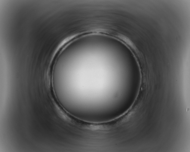 X0000086111032200703301232