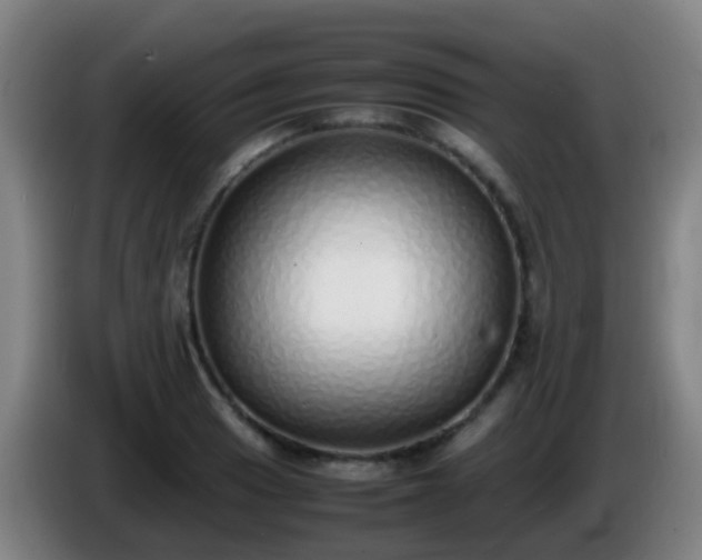 X0000086111033200703301232