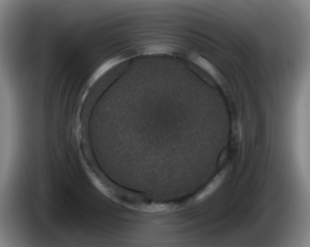 X0000086111034200703301232