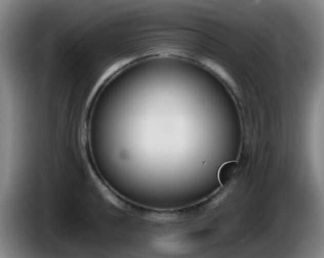 X0000086111040200703301232