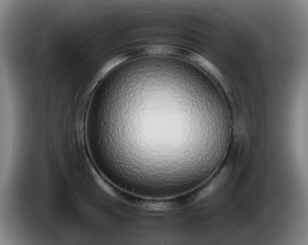 X0000086111041200703301232