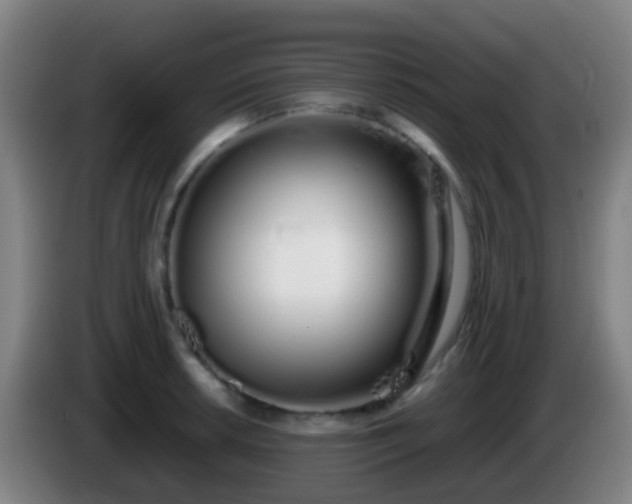 X0000086111042200703301232