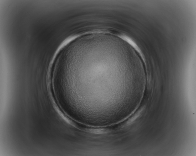 X0000086111045200703301232