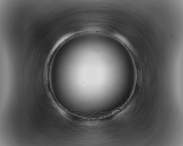 X0000086111046200703301232