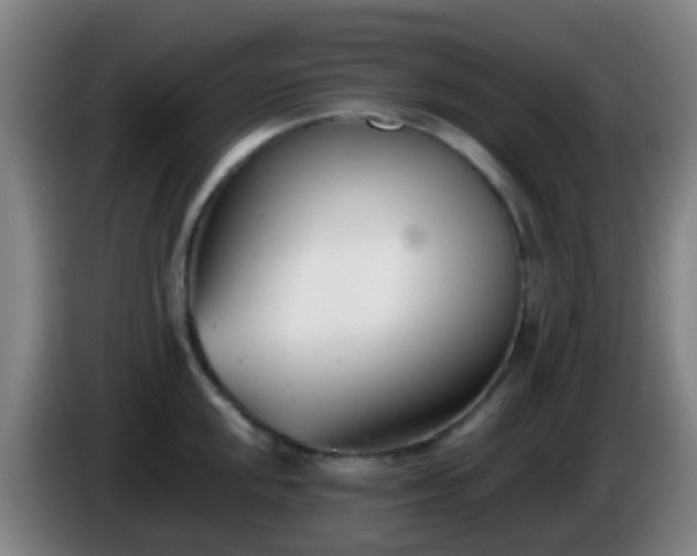 X0000086111048200703301232