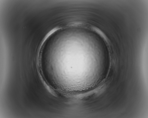 X0000086111050200703301232