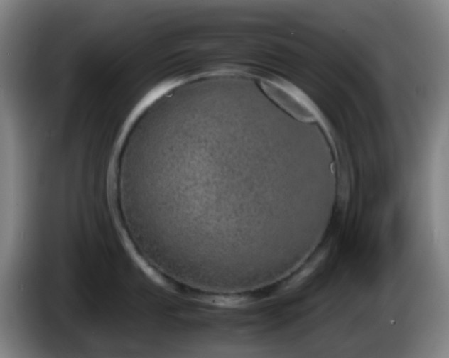 X0000086111053200703301232