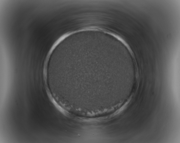 X0000086111054200703301232