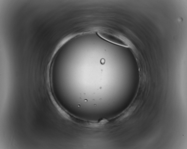 X0000086111055200703301232