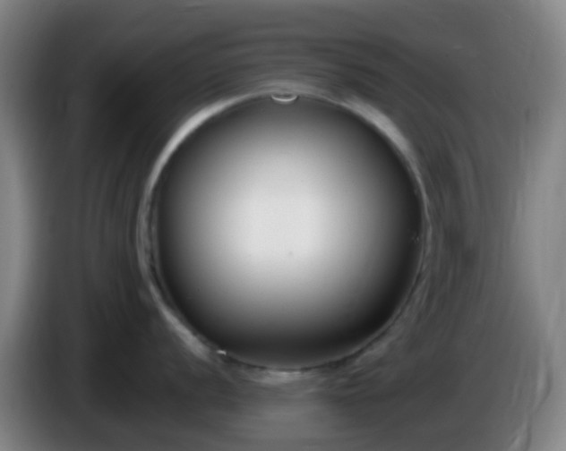 X0000086111056200703301232