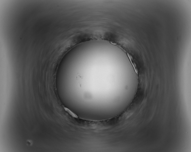 X0000086111057200703301232