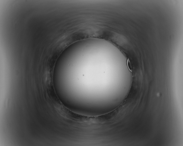 X0000086111058200703301232