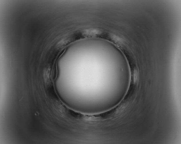 X0000086111059200703301232