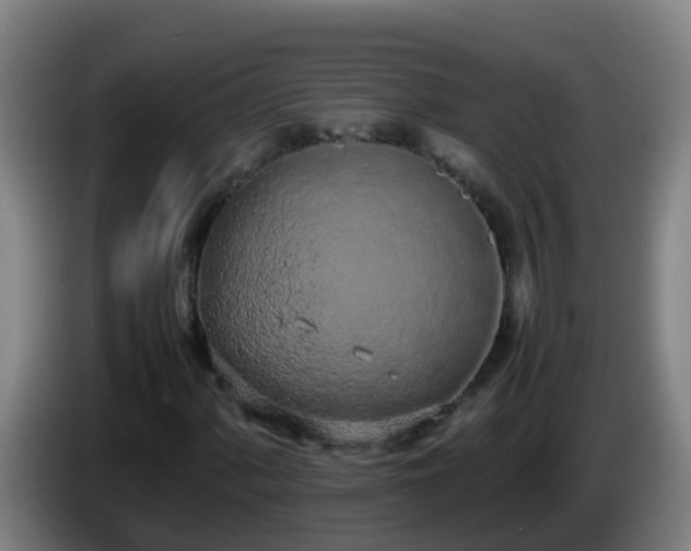 X0000086111060200703301232