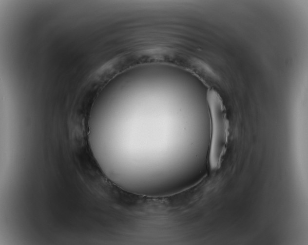 X0000086111062200703301232