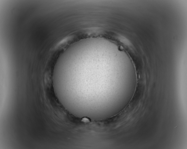 X0000086111063200703301232